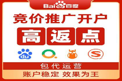 精准投放，sem竞价代运营的五大成功投放案例